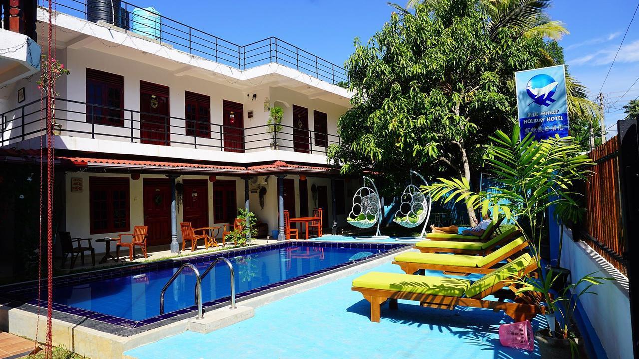 Blue Whale Holiday Hotel Mirissa Kültér fotó