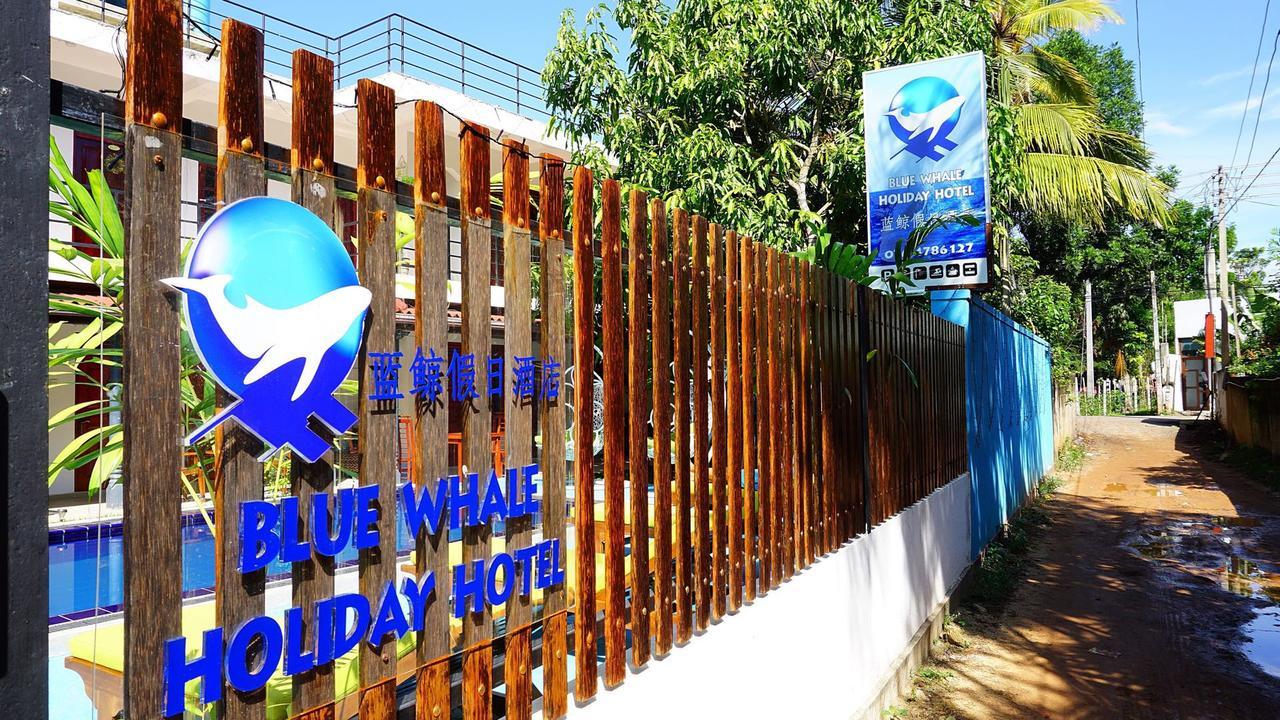 Blue Whale Holiday Hotel Mirissa Kültér fotó