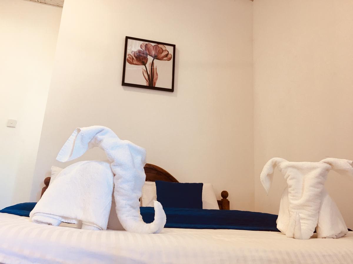 Blue Whale Holiday Hotel Mirissa Kültér fotó
